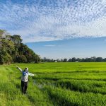 54295867177_6062d0a953_c